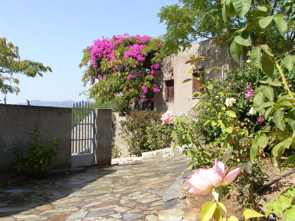 Cavo Grosso Bungalows Mavrovoúnion Pokój zdjęcie